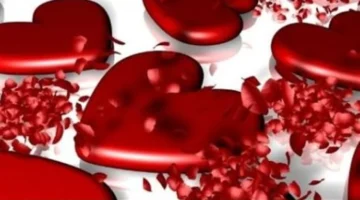 عيد المودة المصرية ويوم الفردية العالمي يعيدان تعريف مفهوم الحب في نوفمبر